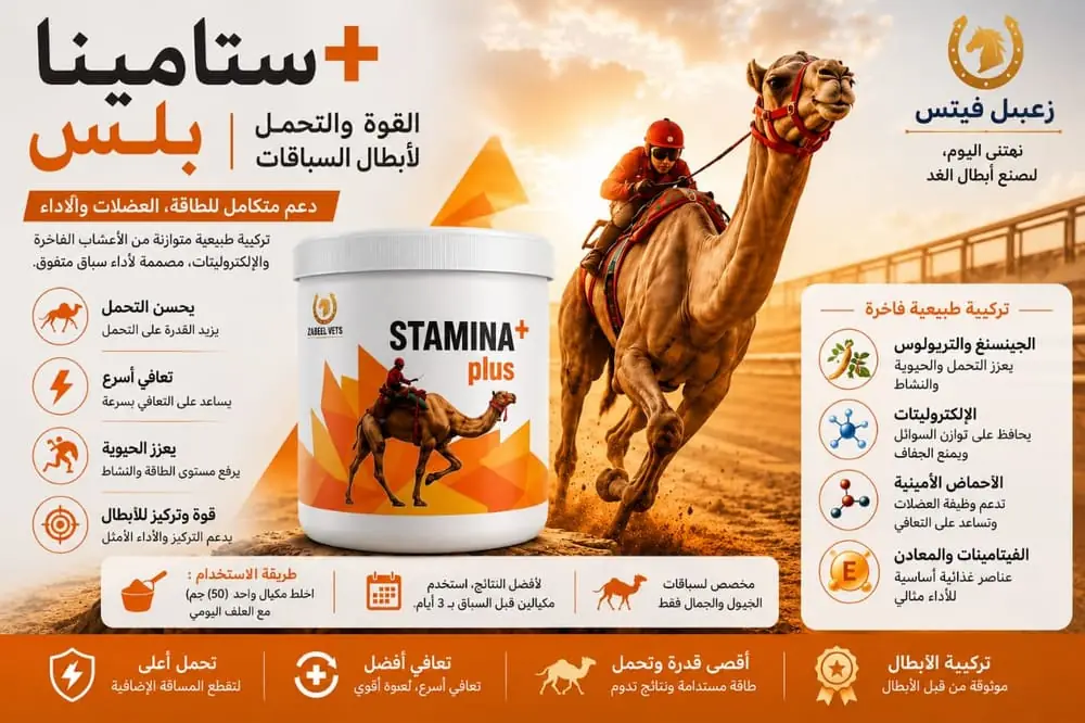 STAMINA+ plus Arabic
