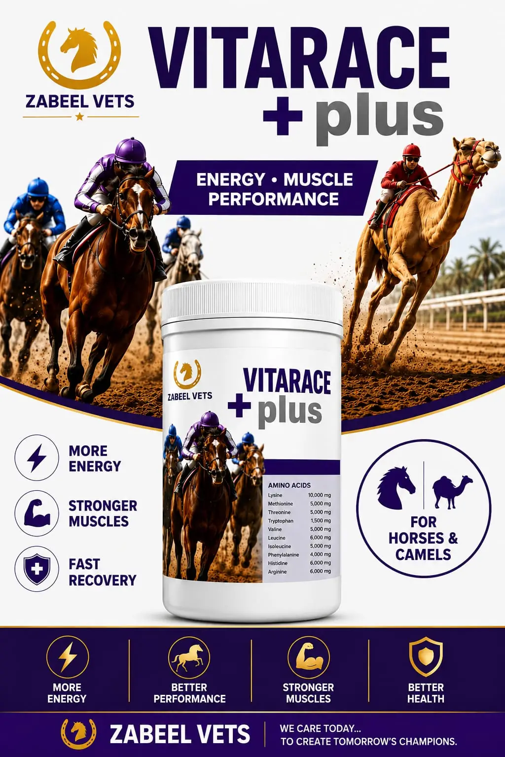 VITARACE+ plus English