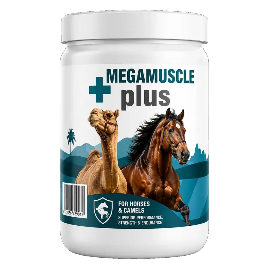 MEGAMUSCLE+ plus — Zabeel Vets veterinary supplement