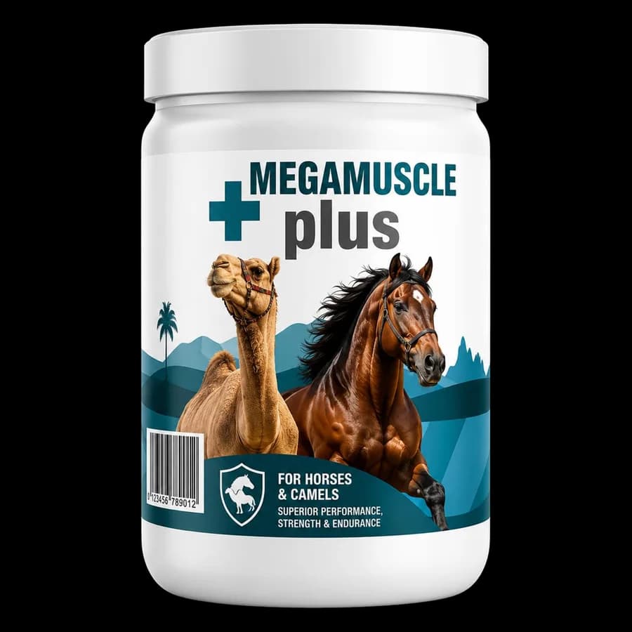 MEGAMUSCLE+ plus veterinary supplement product package from Zabeel Vets